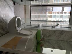 Newton Suites (D11), Apartment #181384532